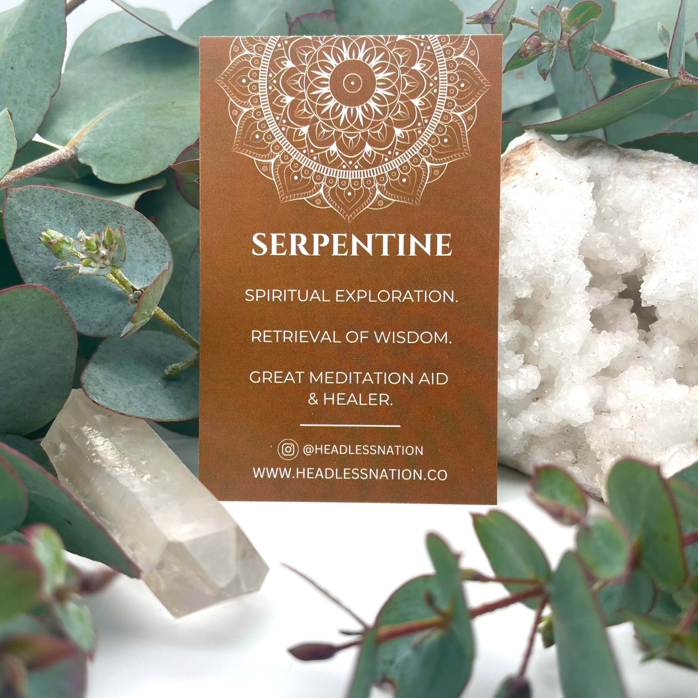 SERPENTINE & LAVA STONE BEADED BRACELET - EXODUS COLLECTION - Headless Nation