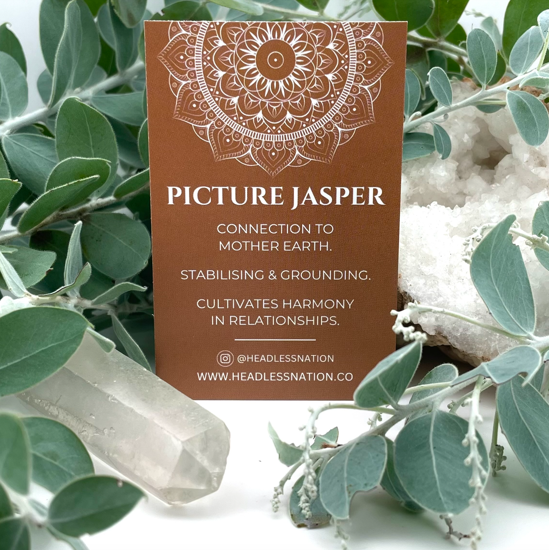 PICTURE JASPER & STERLING SILVER BEADED BRACELET- - Headless Nation