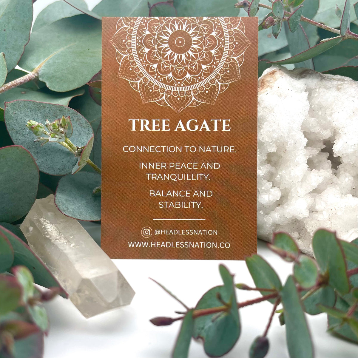 TREE AGATE & WOOD BEADED BRACELET