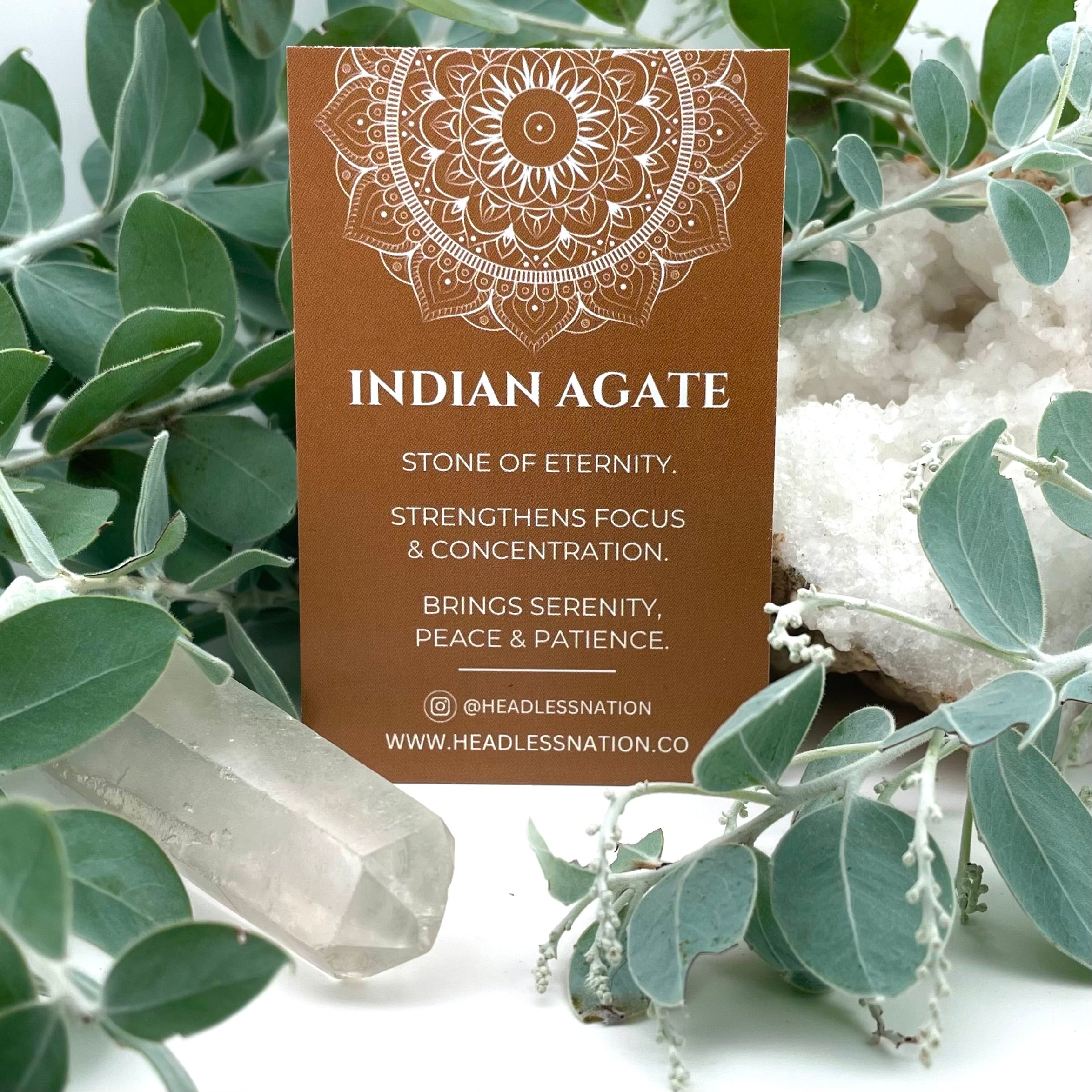Indian Agate LONG BEADED NECKLACE - Headless Nation